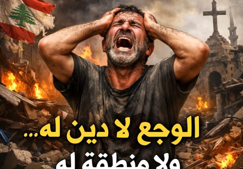 583ffd4c-8a05-40a2-beb1-cee17a6b4061